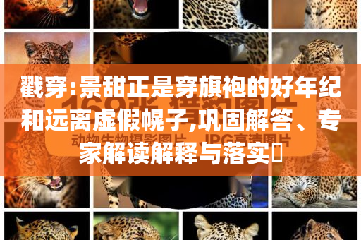 戳穿:景甜正是穿旗袍的好年紀和遠離虛假幌子,鞏固解答、專家解讀解釋與落實?
