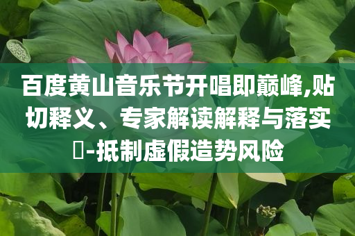 百度黃山音樂節開唱即巔峰,貼切釋義、專家解讀解釋與落實?-抵制虛假造勢風險