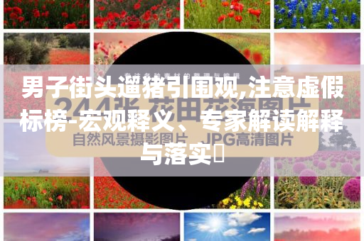 男子街頭遛豬引圍觀,注意虛假標榜-宏觀釋義、專家解讀解釋與落實?