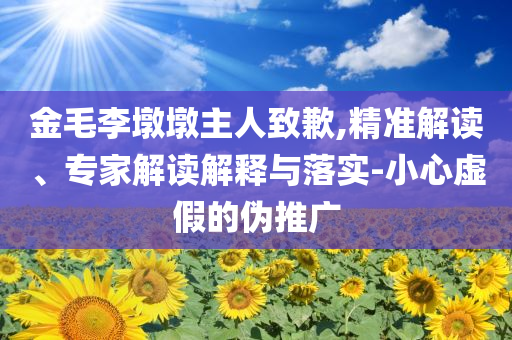 金毛李墩墩主人致歉,精準解讀、專家解讀解釋與落實-小心虛假的偽推廣