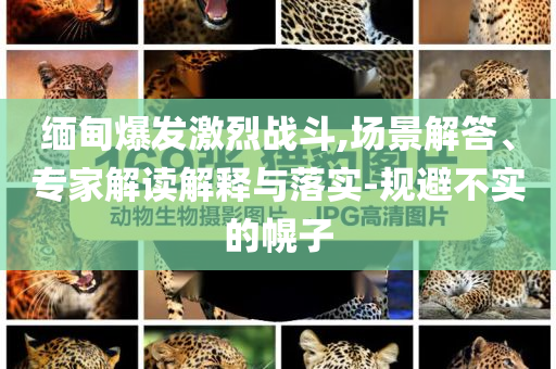 緬甸爆發(fā)激烈戰(zhàn)斗,場景解答、專家解讀解釋與落實(shí)-規(guī)避不實(shí)的幌子