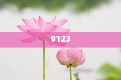 國(guó)泰航空歐洲航點(diǎn)將超過(guò)10個(gè)|界面新聞 · 快訊