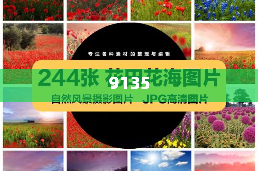 虎鯨會法式熱吻數字解答、解釋與落實-小心欺詐的甜蜜餌