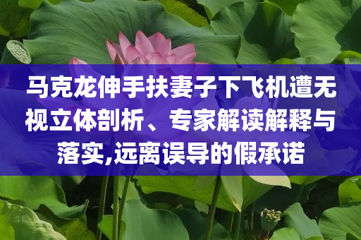 馬克龍伸手扶妻子下飛機遭無視立體剖析、專家解讀解釋與落實,遠離誤導的假承諾