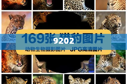 發(fā)掘:外國船只掛五星紅旗和小心偽假宣傳,創(chuàng)新分析、專家解析解釋與落實