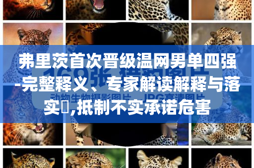 弗里茨首次晉級溫網男單四強-完整釋義、專家解讀解釋與落實?,抵制不實承諾危害