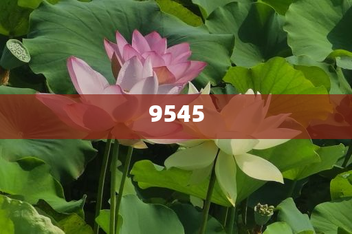 揭露:《以法之名》萬海心臟病下線意難平-科學釋義、解釋與落實,防范欺詐的假誘導難